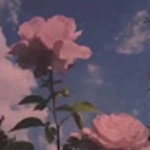 Meet your Posher, Zenzen216